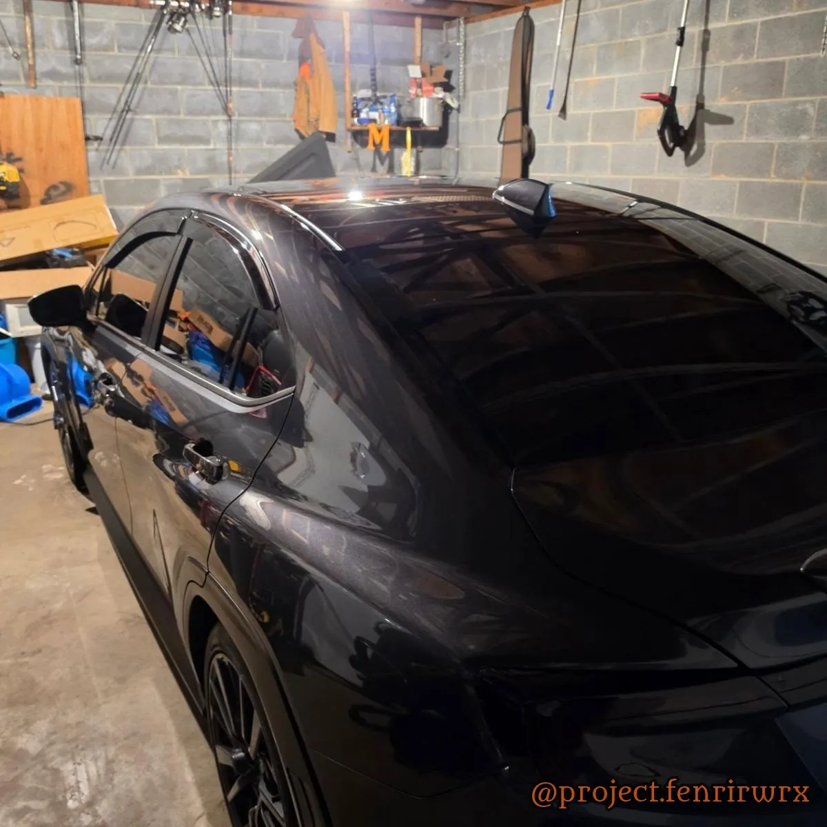 Fenrir in the garage the night before Boxerfest