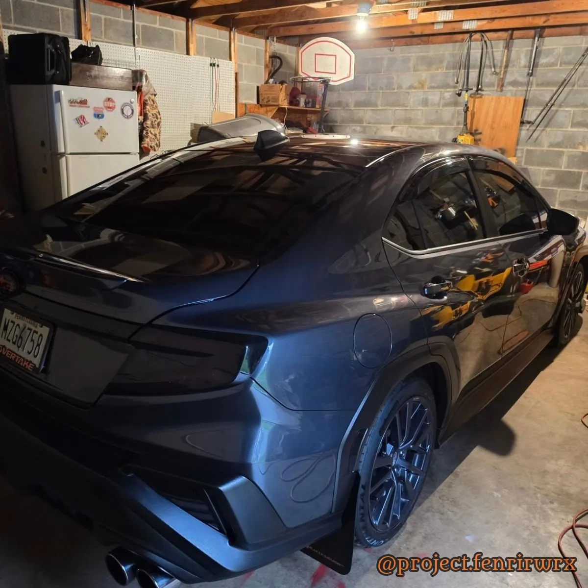 Fenrir in the garage the night before Boxerfest