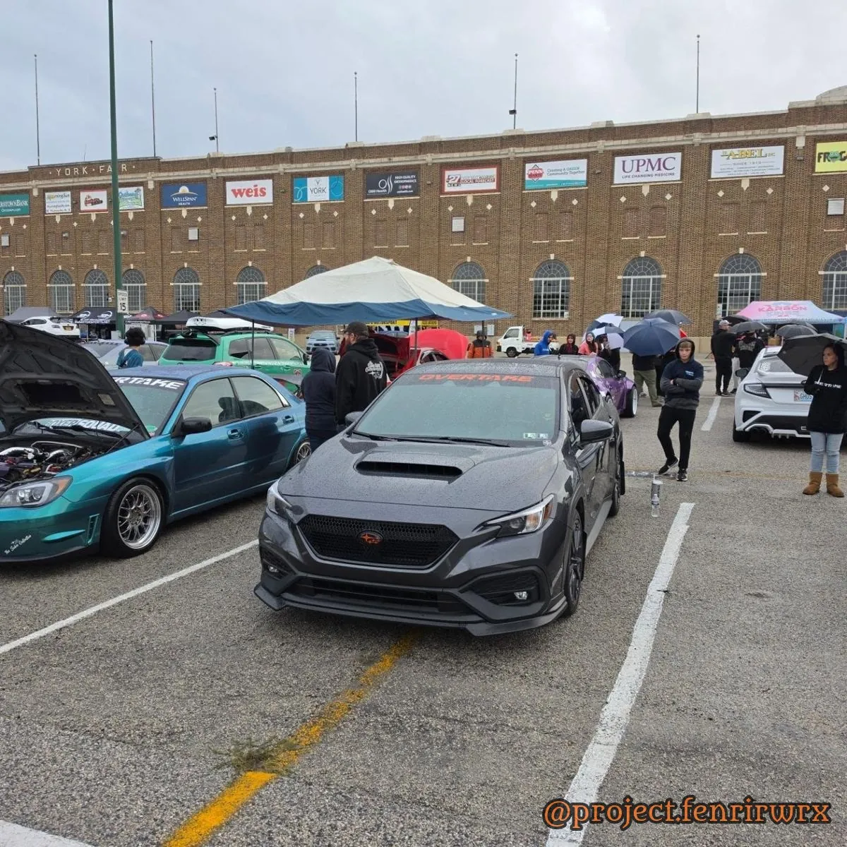 Fenrir on the Boxerfest show lot