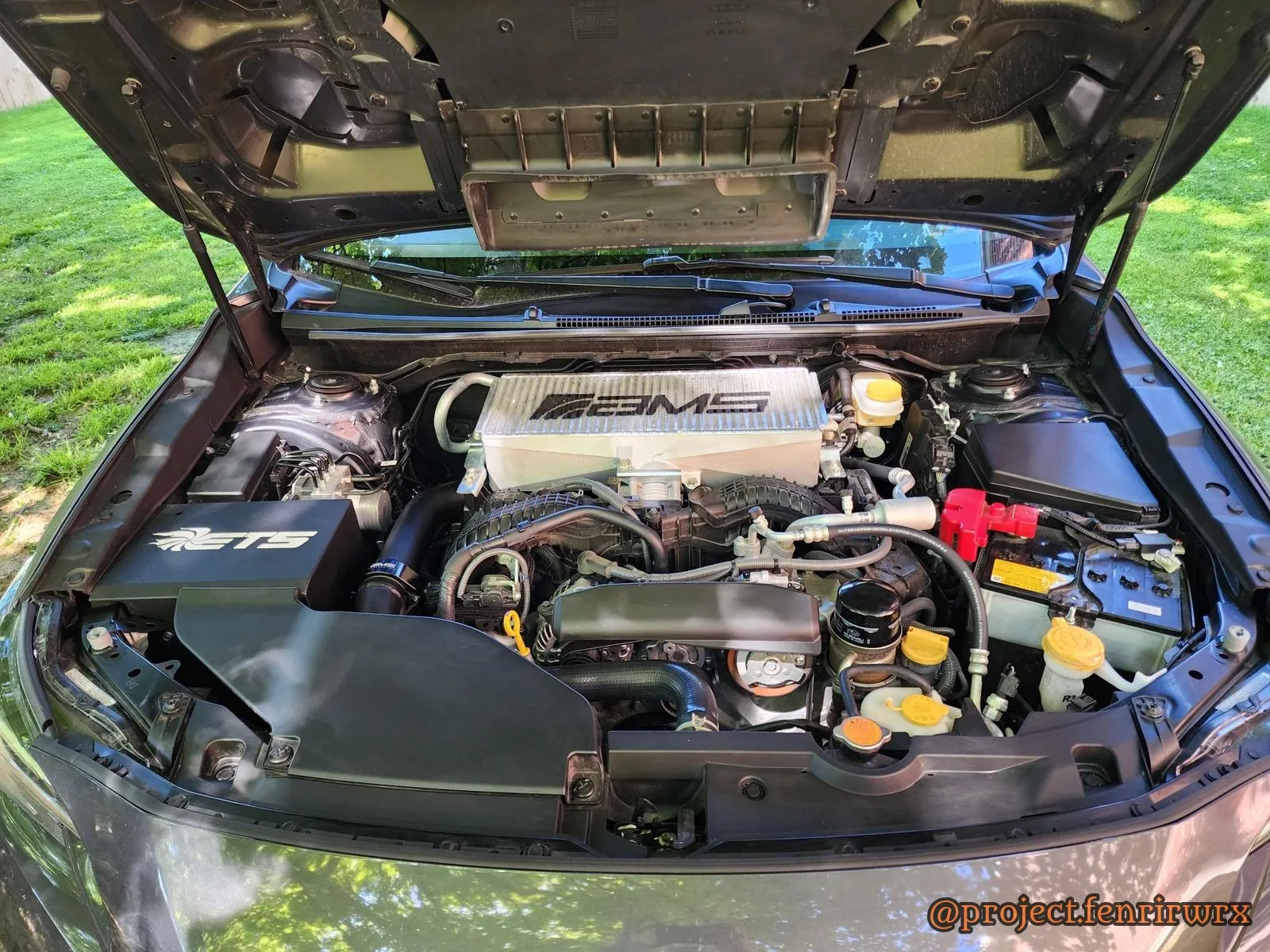Engine bay, hood up in the grass