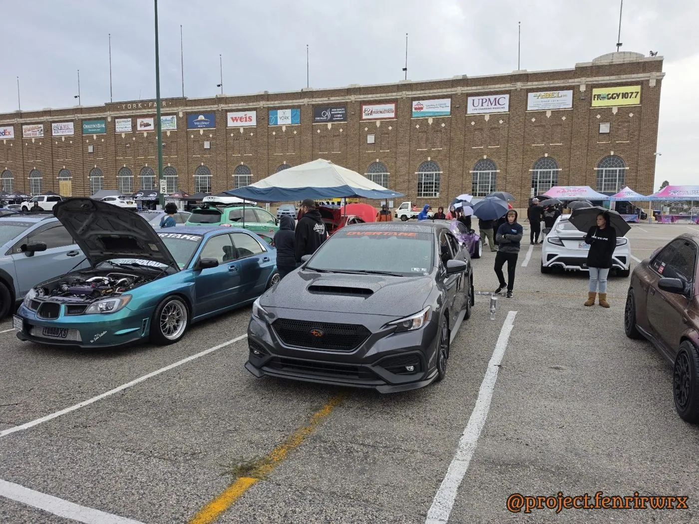 Fenrir in the show row at Boxerfest