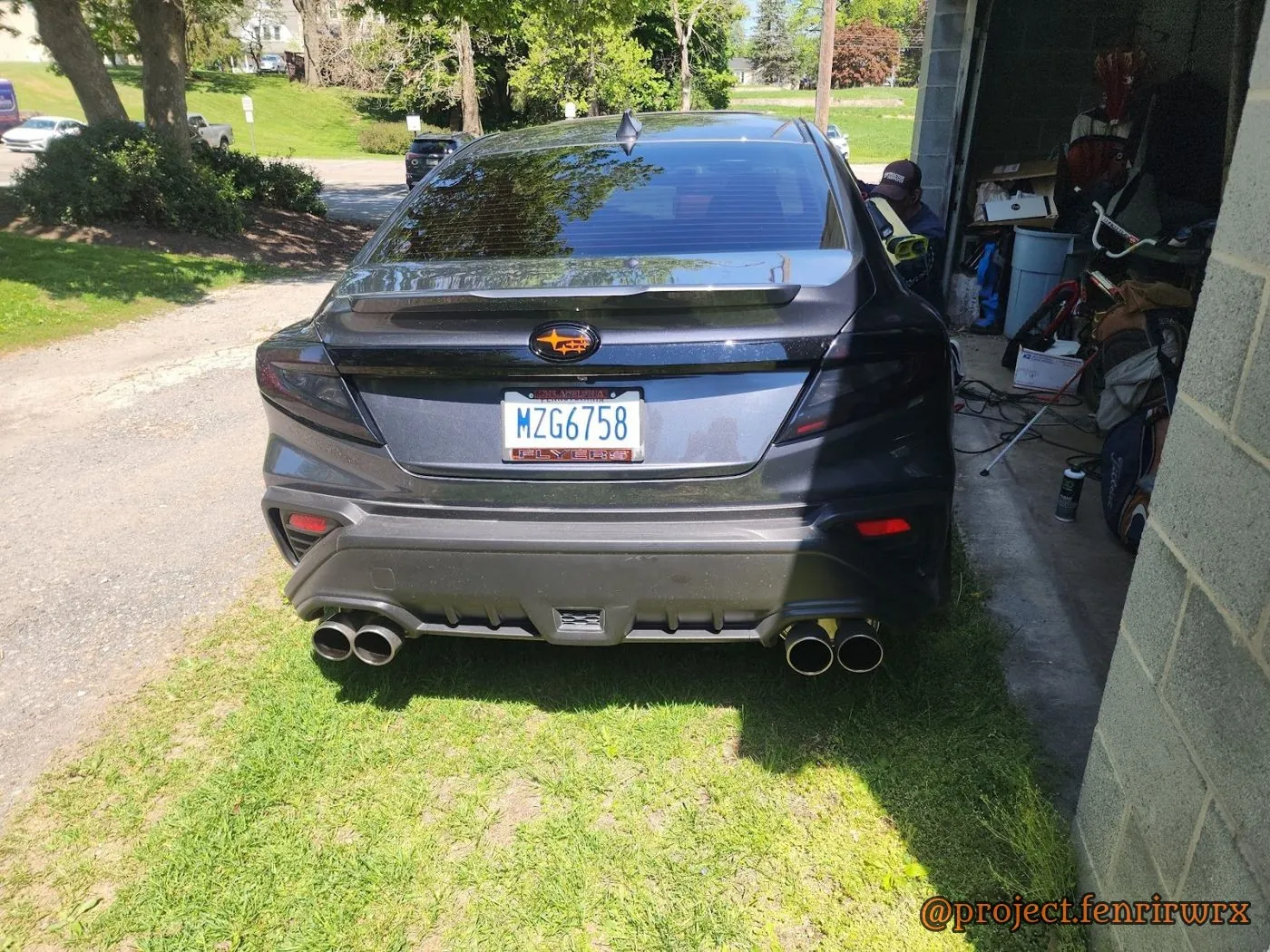 Rear on the grass