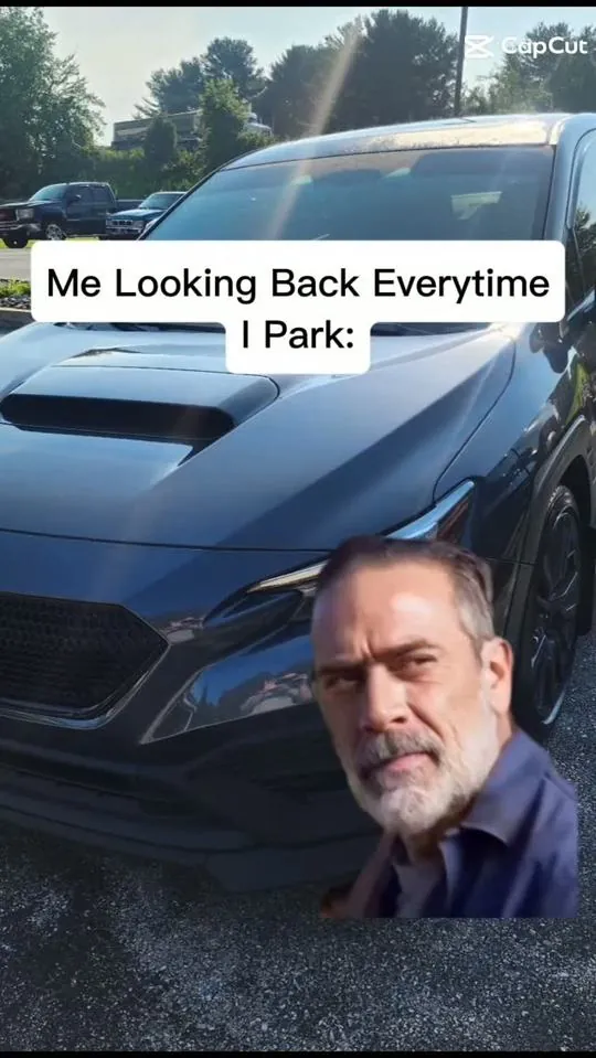 Meme: Me looking back every time I park