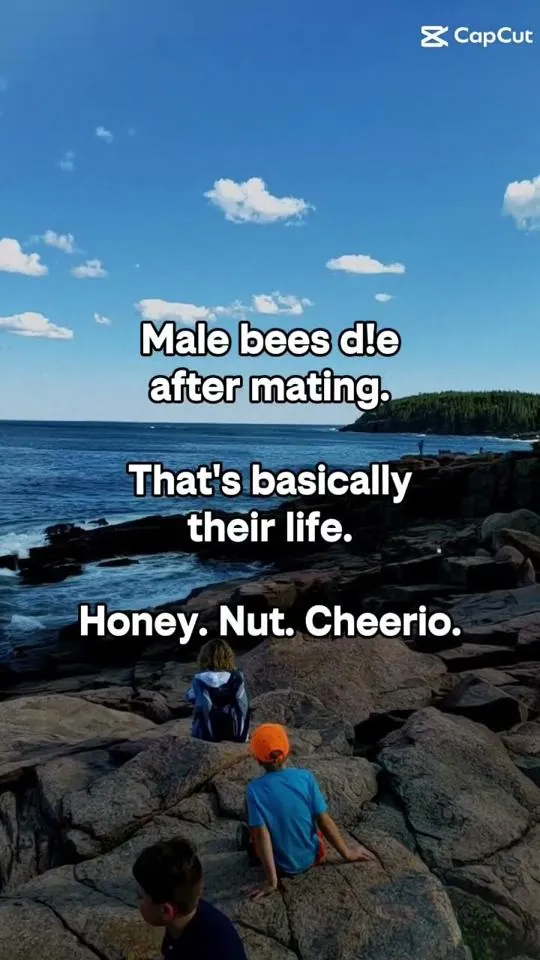Meme: The more you know