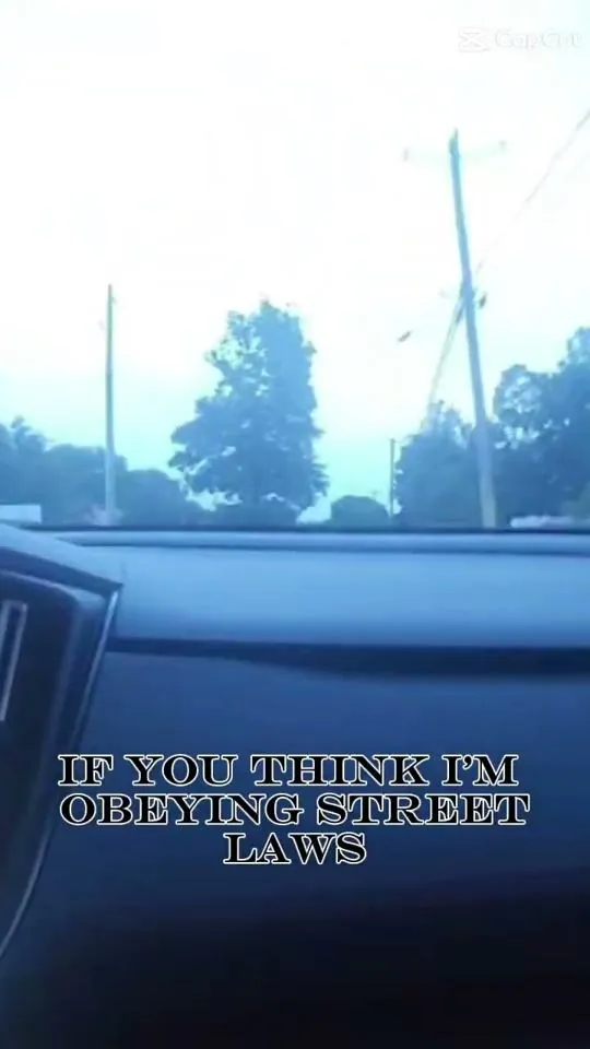 Meme: If you think I'm obeying street laws
