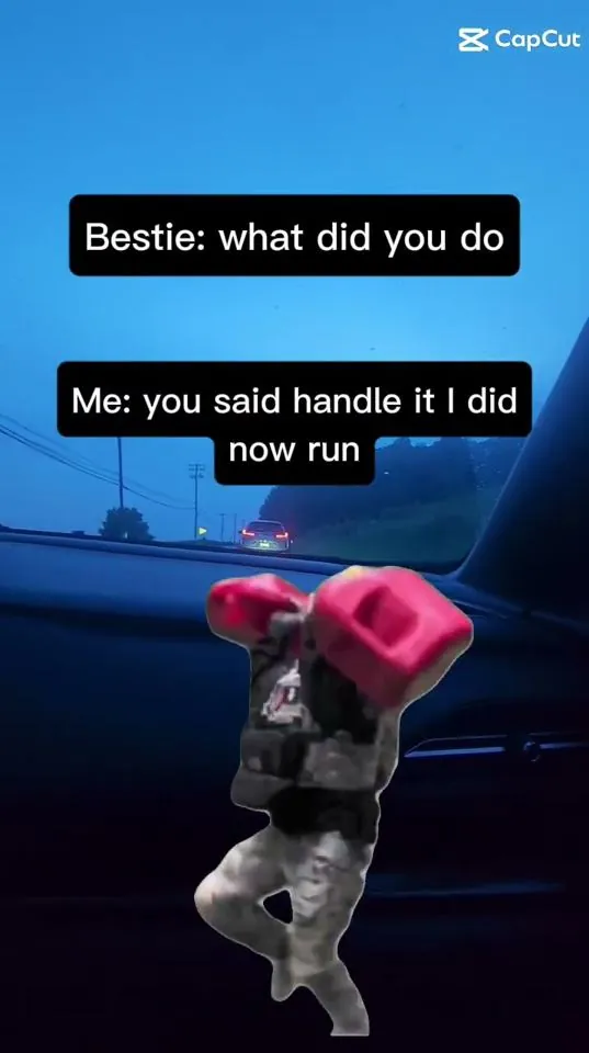 Meme: "What did you do?" "You said handle it"